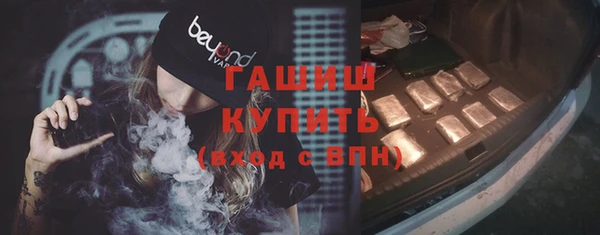 хмурый Алексин