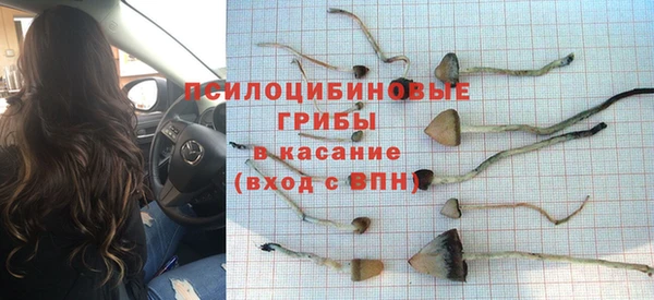 каннабис Алзамай