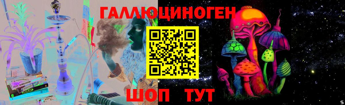 Тверь  Псилоцибиновые грибы GOLDEN TEACHER  Вход с VPN  Галлюциногенные грибы MAGIC MUSHROOMS 