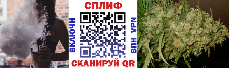 MEGA зеркало  Тверь  Канабис сатива  закладки 